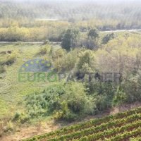 Istra, terreno agricolo al limite della zona edificabile - 3