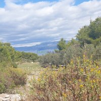 Građevinsko zemljište na otoku Braču, Supetar 3.900 m2 - 4